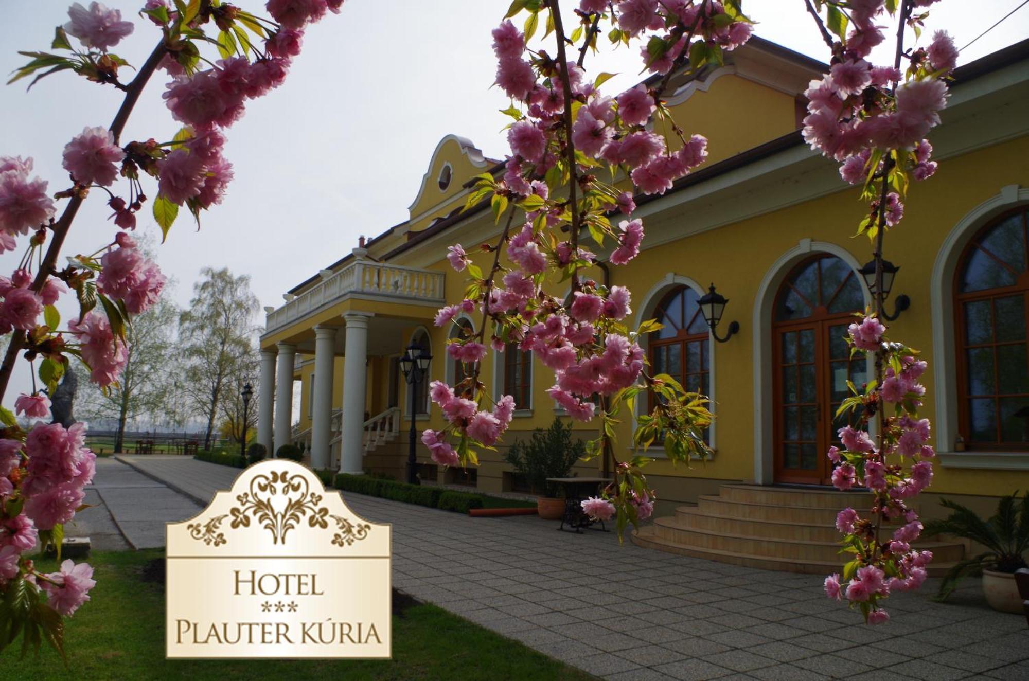 Veľký Meder Hotel *** Plauter Kuria מראה חיצוני תמונה