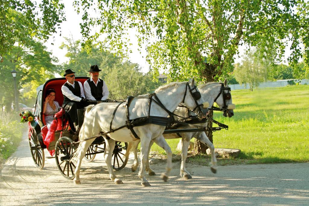 Veľký Meder Hotel *** Plauter Kuria מראה חיצוני תמונה